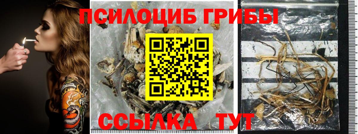 Галлюциногенные грибы мицелий Грязи